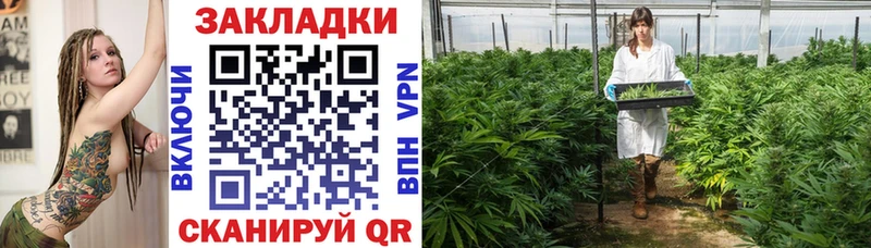 Виды наркотиков купить Зарайск Галлюциногенные грибы  Alpha PVP  МЕФ  Cocaine  ГАШИШ 