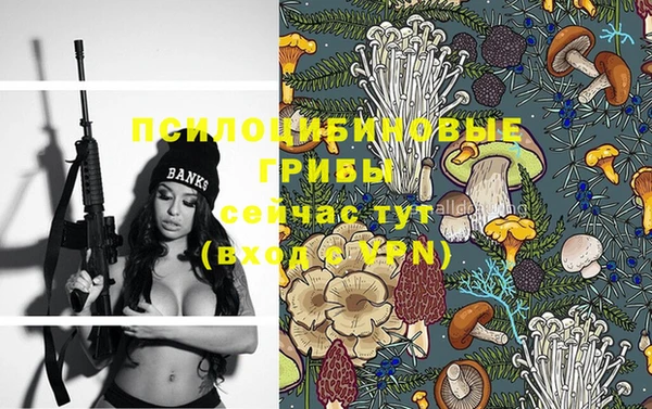 прущая мука Абаза