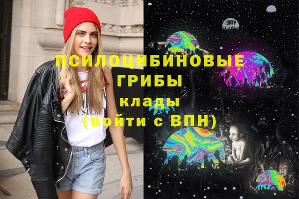СК Абинск